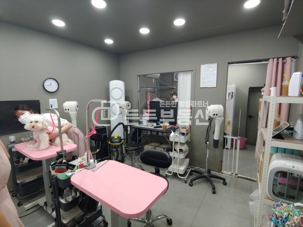 부산 부산진구 부전동 서면역 인근 대로변! 1층 판매점, 테이크 아웃 등 추천 월세 매물번호 10252 사진 2